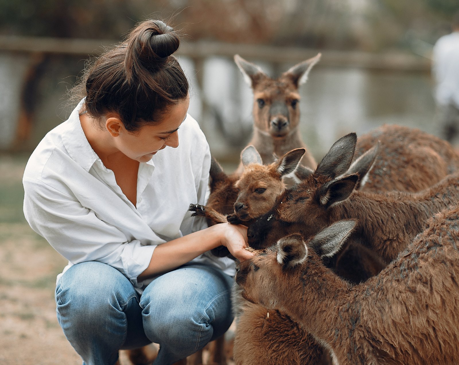 Animal Encounters
